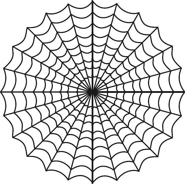 Spinne, Krafttier