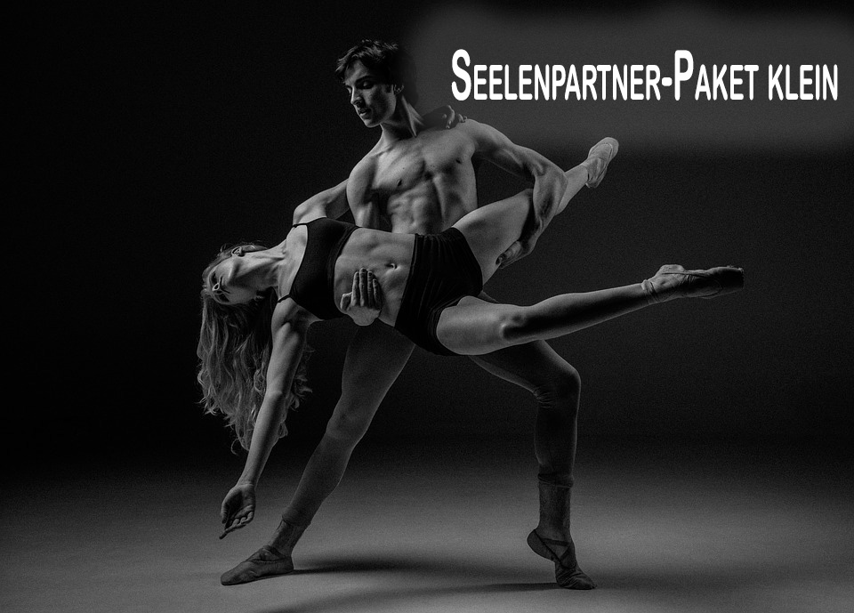 Seelenpartnerhoroskop klein